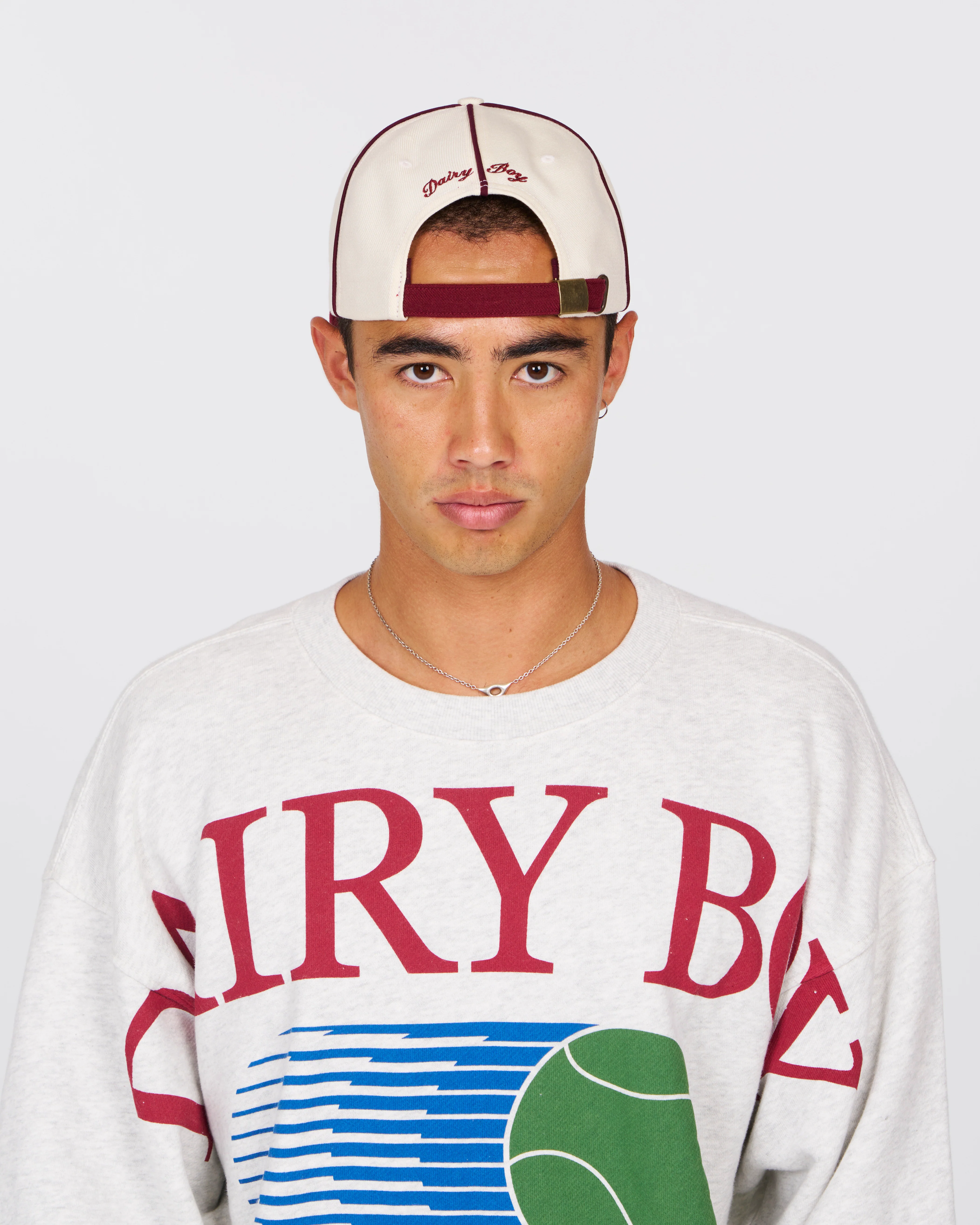 DB Baseball Hat - Crimson - Image 4