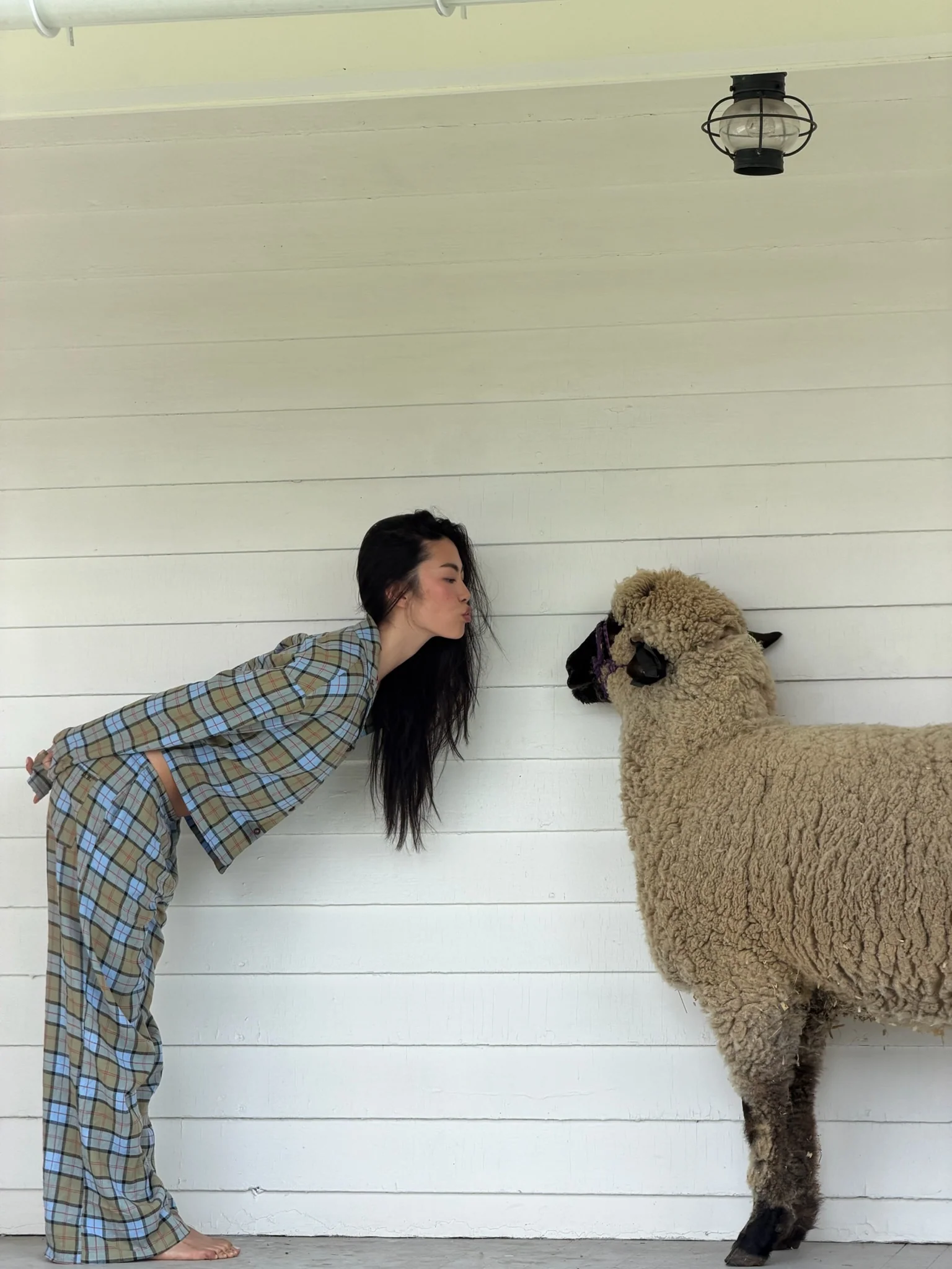 Farm Friends Sleep Set - Sheep in Scottish Plaid - Image 9